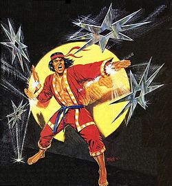 Mestre do Kung-Fu